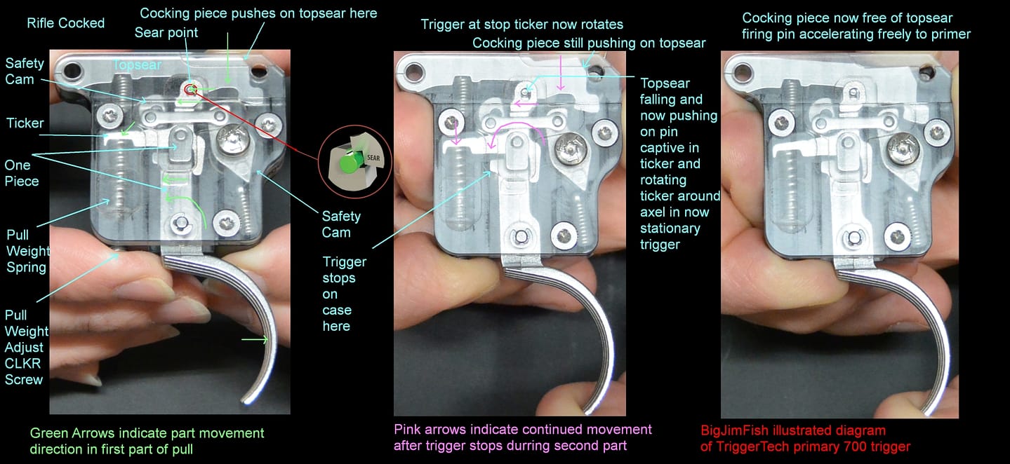 Illustrated diagram of the two part release sequence of a TriggerTech trigger.