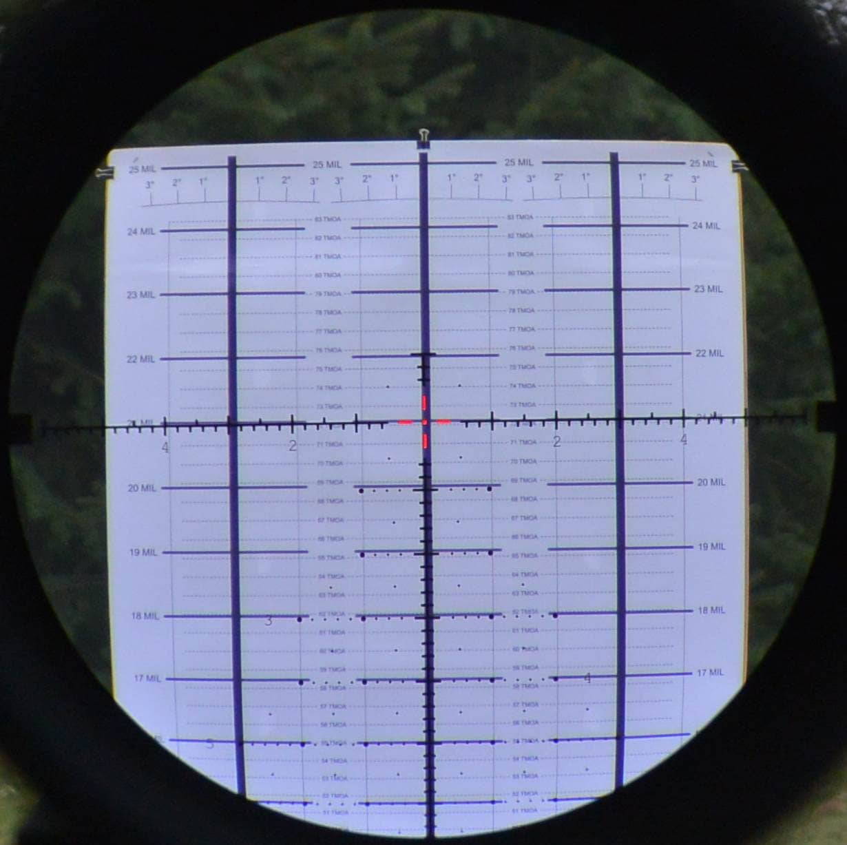 ILya's MRAD RD Reticle in the Meopta Optika6 5-30x56 RD FFP scope on the HORUS CATS target at 30x